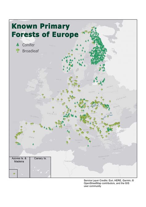cities of europe|list of forests in europe.